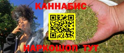 шишки Гатчина